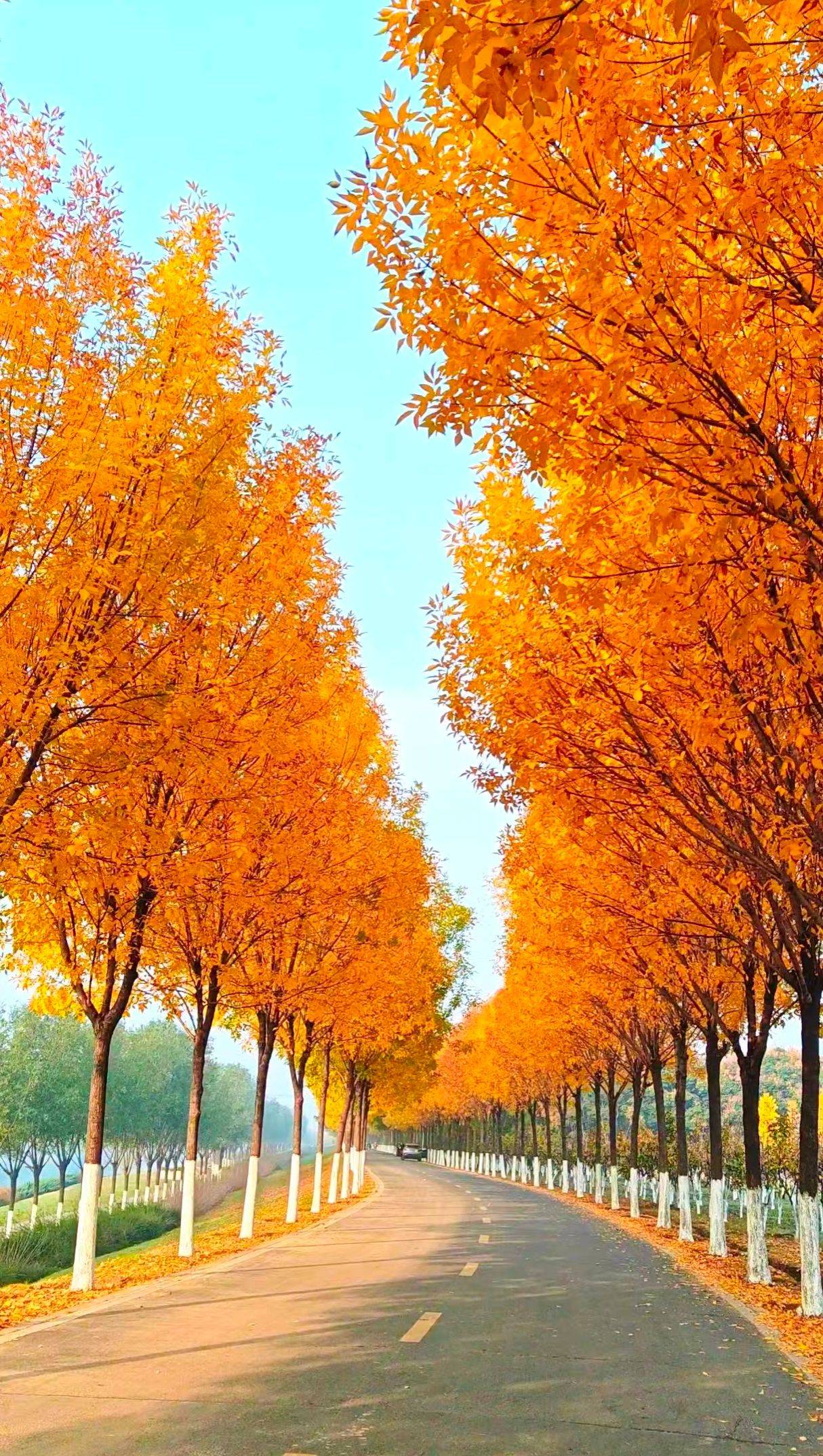 威廉希尔williamhill官网